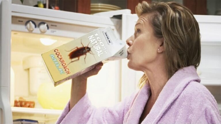 Sería capaz de tomar leche de cucaracha?