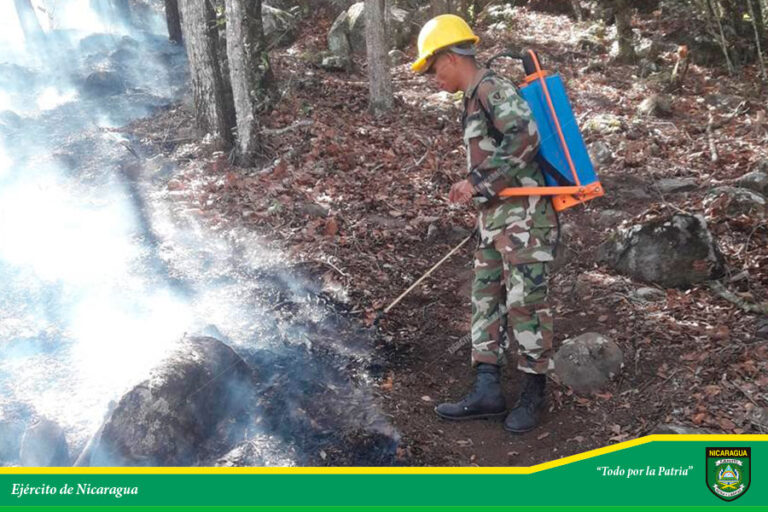 Evalúan estrategias para la prevención y control de incendios forestales