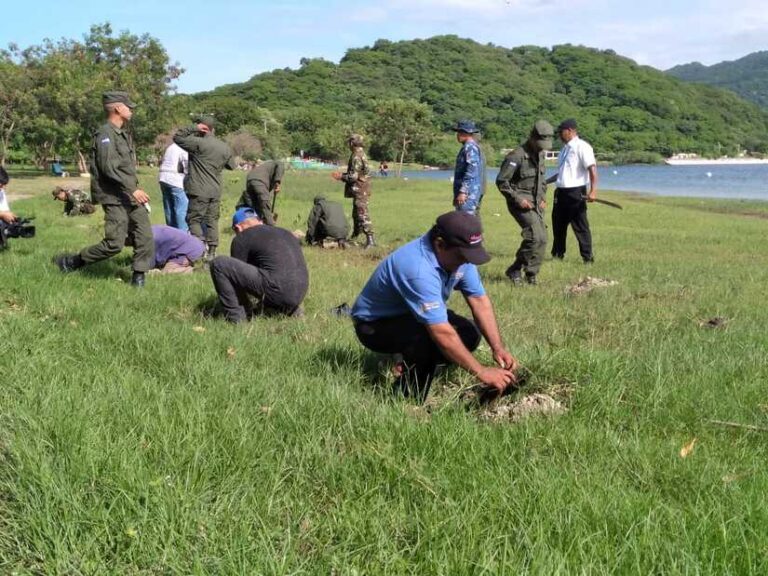 Reforestan la Laguna de Xiloá con variedad de plantas