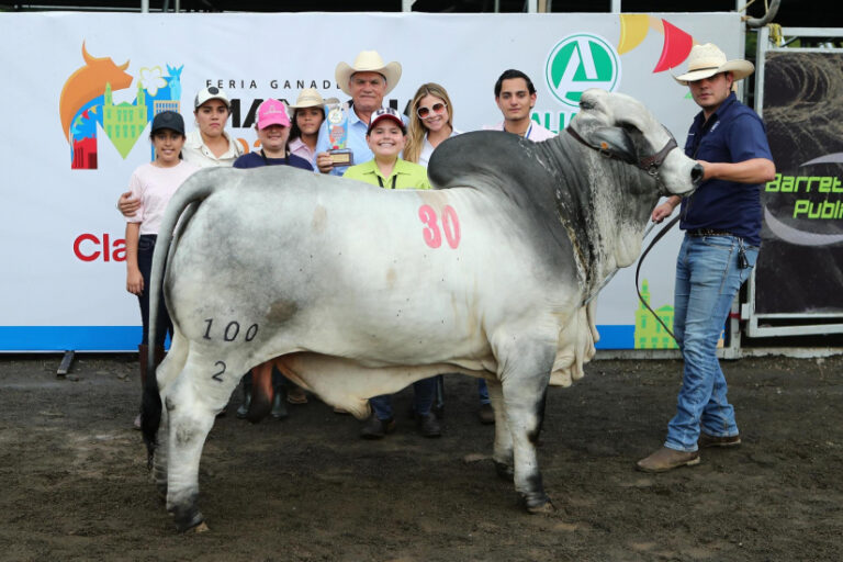 Gran afluencia de visitantes en la Feria Ganadera 2024