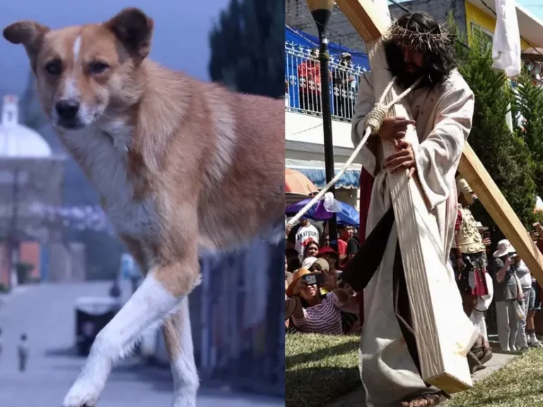 Perro protege a Jesús en viacrucis de Semana Santa