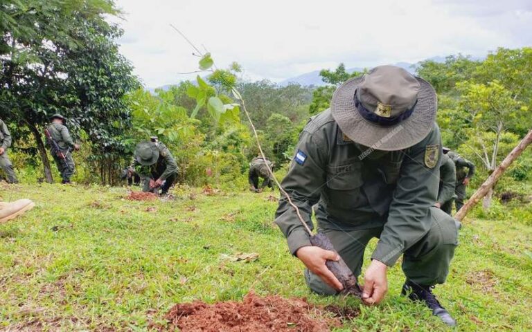 Lanzamiento de la cruzada regional de reforestación
