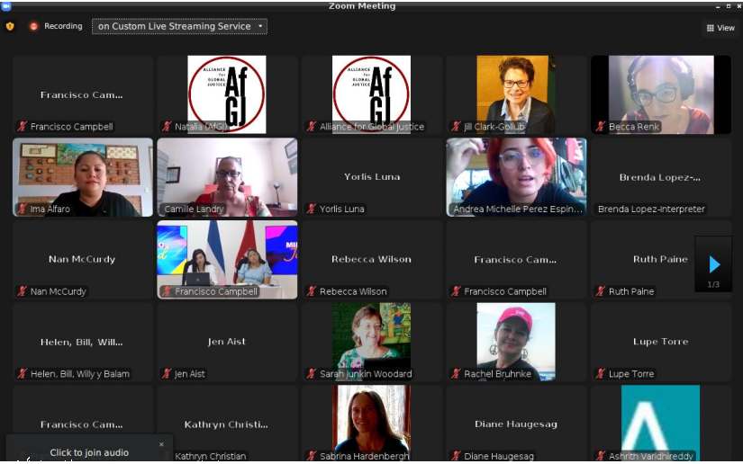 Mujeres participan en Webinar.