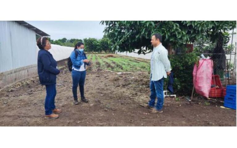 Visita a productor de hortalizas no tradicionales en Sébaco