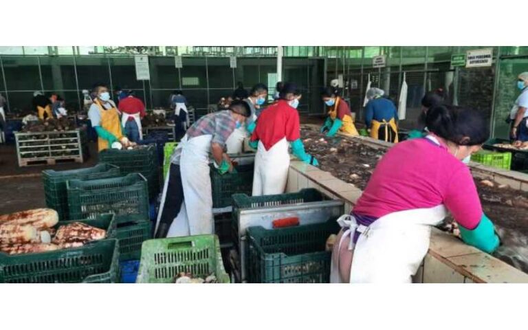 Visita a empresa exportadora de raíces y tubérculos, en San Ramón