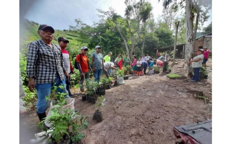 MEFCCA realiza entrega de patios saludables a familias de San Dionisio