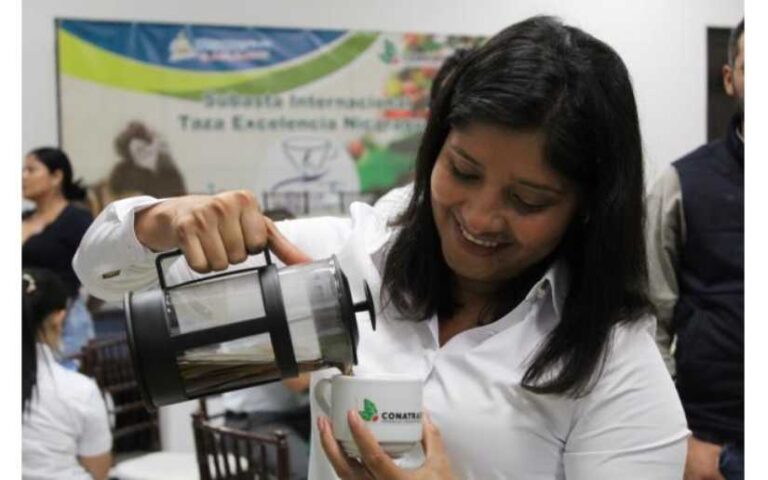 Subasta internacional certamen taza de la excelencia 2022 Conatradec