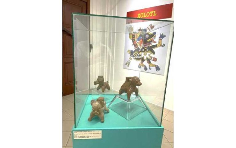 Arqueología en Managua