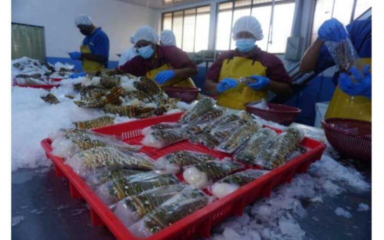 Autoridades de Nicaragua visitan empresa de Mariscos Procesados S.A. en Rivas