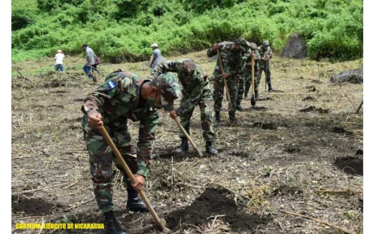 Participación en jornada de reforestación ambiental