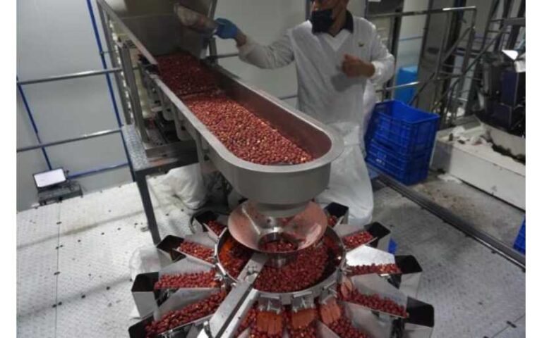 Gobierno de Nicaragua visita empresa productora de maní en León