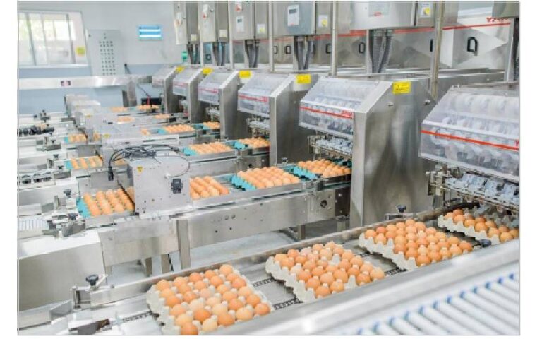 Sistema de Producción visita Grupo Industrial El Granjero ubicado en Masatepe