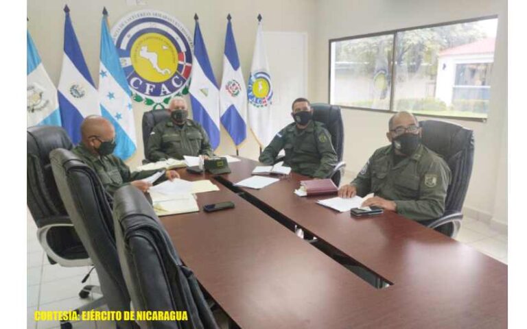 XIII Actividad Especializada Extraordinaria de Sanidad e Industria Militar de la CFAC