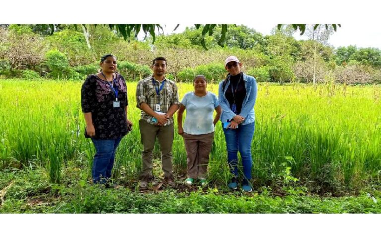 Productores promueven la producción agrícola en armonía con la naturaleza