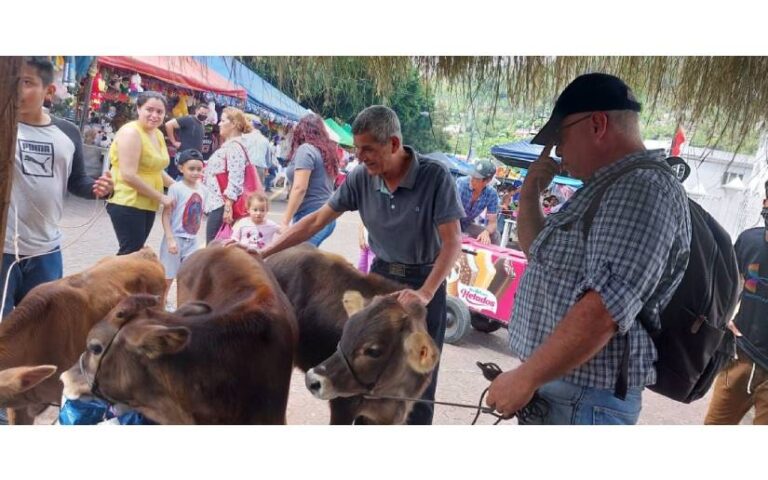 Sistema Nacional de Producción realiza Expo Feria Ganadera en Matagalpa