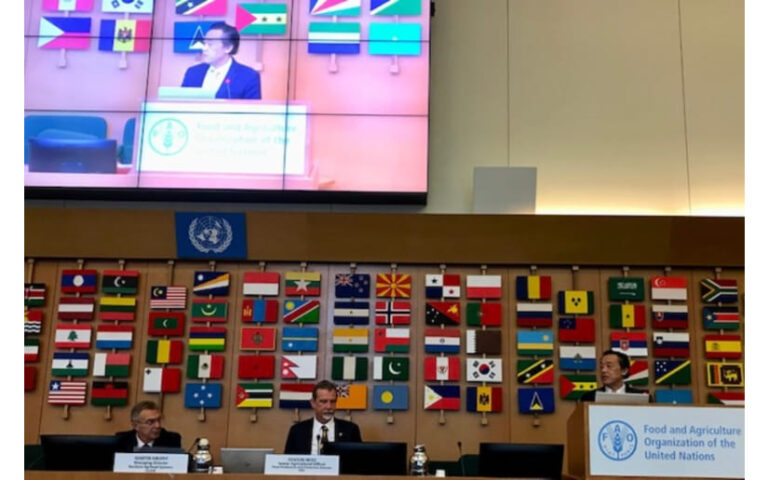 FAO organiza Primera Conferencia Mundial sobre producción vegetal sostenible