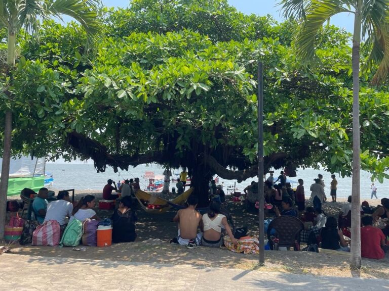 Nacionales y extranjeros disfrutan en los puertos turísticos del país