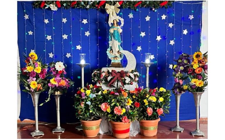 Así se vivió la Purísima desde El Salvador