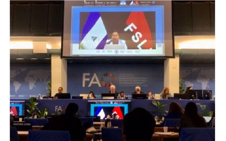 Nicaragua participa en Período de Sesiones de la FAO