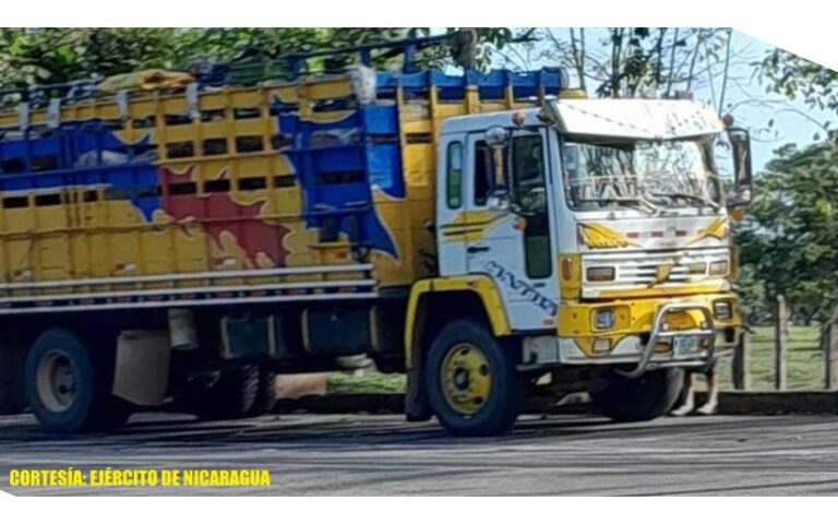 Ejército de Nicaragua ocupa equinos trasladados sin documentación correspondiente