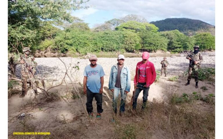 Ejército de Nicaragua ocupa semovientes y equinos trasladados ilegalmente