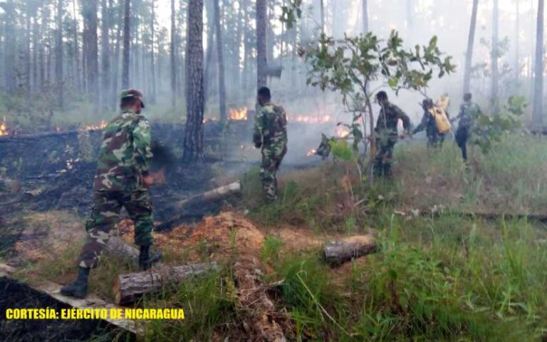 Destacamento Militar Norte participó en sofocación de incendio forestal