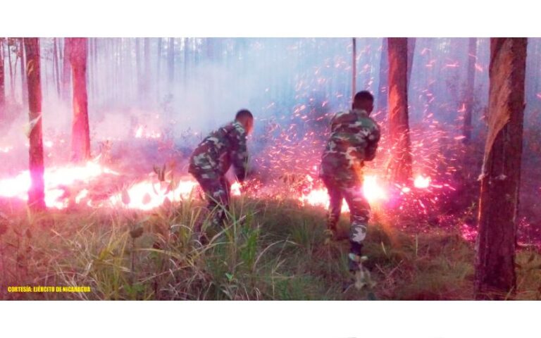 Ejército de Nicaragua sofoca incendio forestal en una comunidad de Waspam