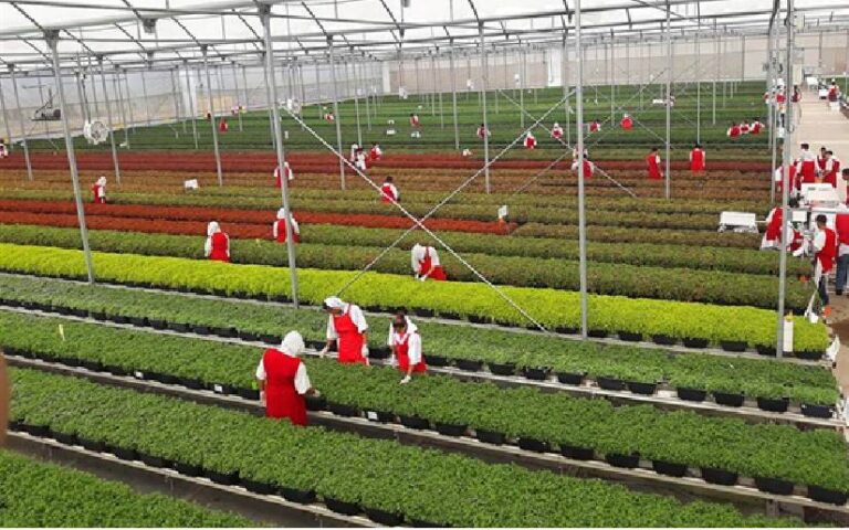 Delegación del Sistema Nacional de Producción visita Finca Las Limas