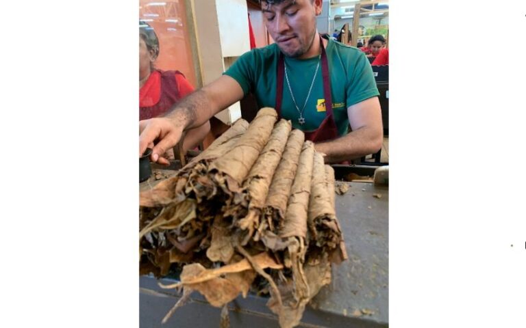 Visita a empresa PENSA, 800 empleos directos en Estelí