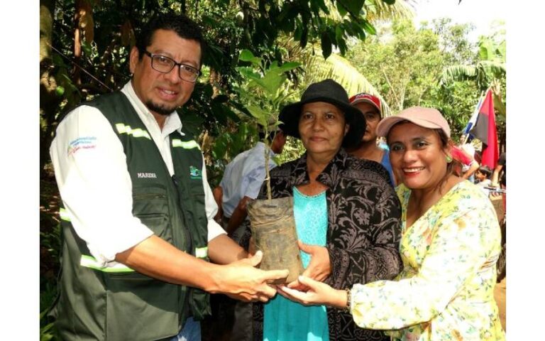 Campaña “Verde Que Te Quiero Verde” entrega 500 árboles