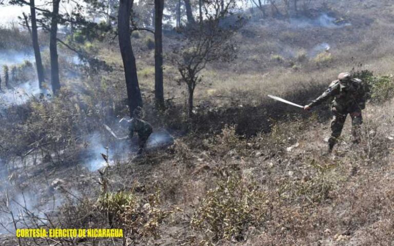 Sexto Comando Militar Regional participó en sofocación de incendio forestal