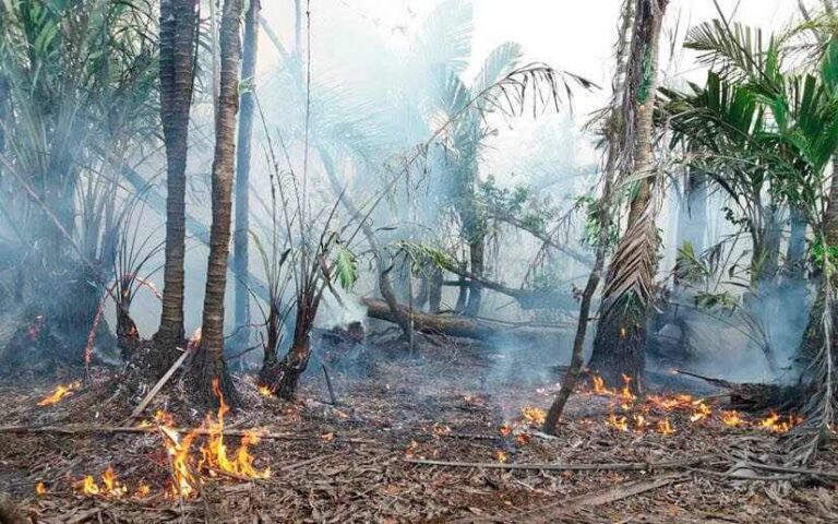 Nicaragua: Imágenes de satélite detectaron 137 puntos de calor en 13 departamentos