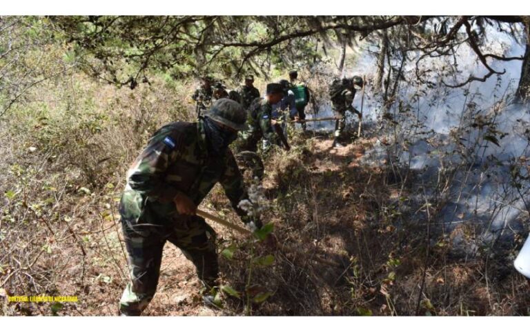 Ejército de Nicaragua sofoca incendio forestal en la comunidad Llano Grande
