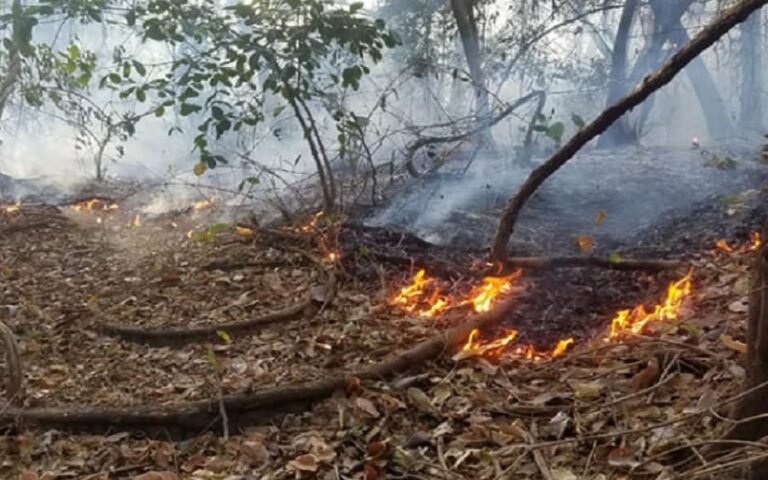 Imágenes de satélite detectan 62 puntos de calor en Nicaragua