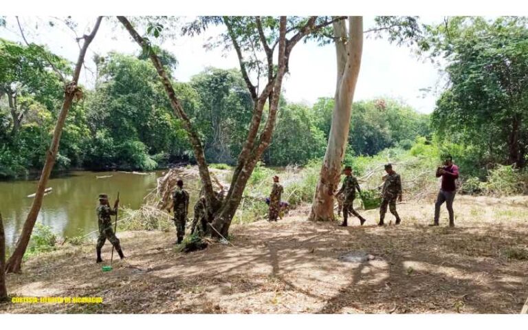 Ejército de Nicaragua participa en jornada de reforestación ambiental