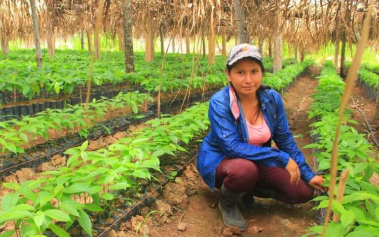 Gobierno de Nicaragua prepara II etapa de la Campaña Verde, que te quiero Verde