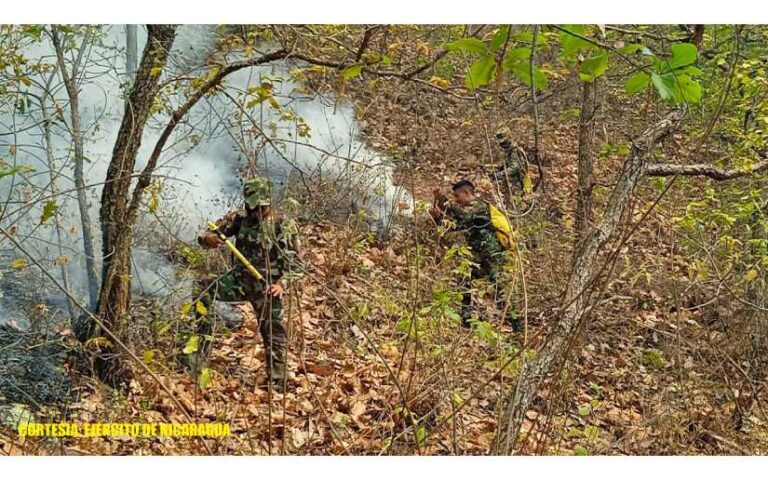 Sofocan incendios forestales en las comunidades La Pita y El Horno, en Jinotega