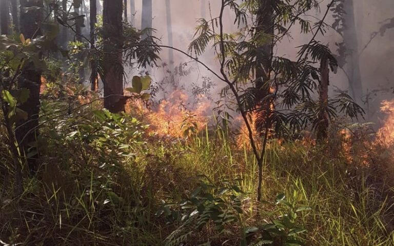 Nicaragua: Se detectaron 231 puntos de calor en 13 departamentos y la Costa Caribe
