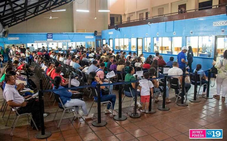 Explican sobre certificados de movimientos migratorios