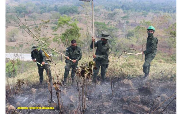 Batallón Ecológico “Bosawás” sofoca incendio forestal en el municipio de Siuna