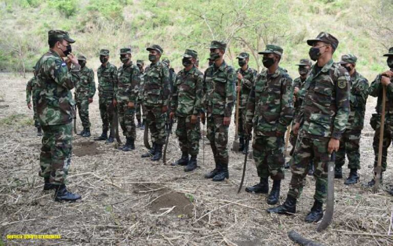 Brigada de Infantería Mecanizada realiza jornada de limpieza para reforestación