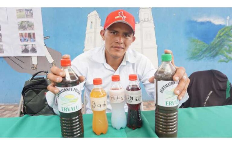Inta desarrolla Certamen Agroinnovación Departamental en Matagalpa