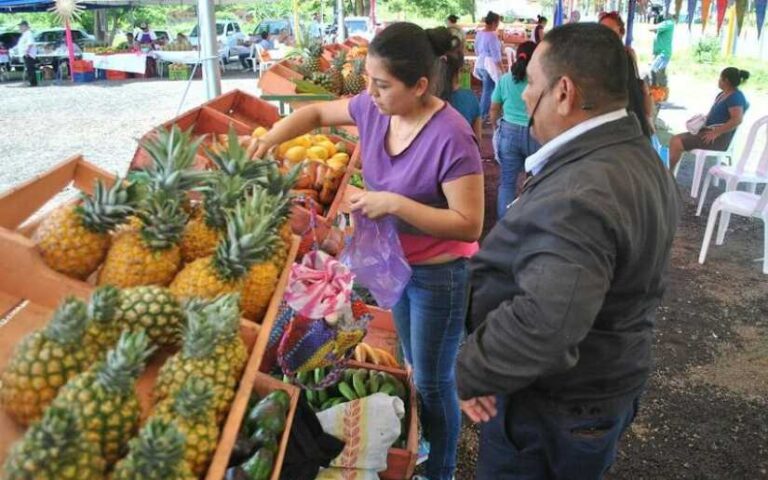 Asista a los Carnavales, festivales, mercaditos campesinos y ferias de la economía familiar