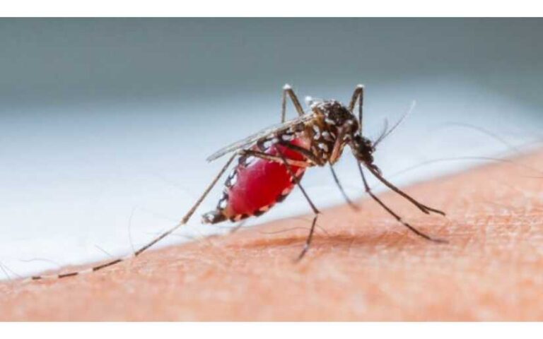 Disminuyen contagios de malaria y neumonía durante la última semana en Nicaragua