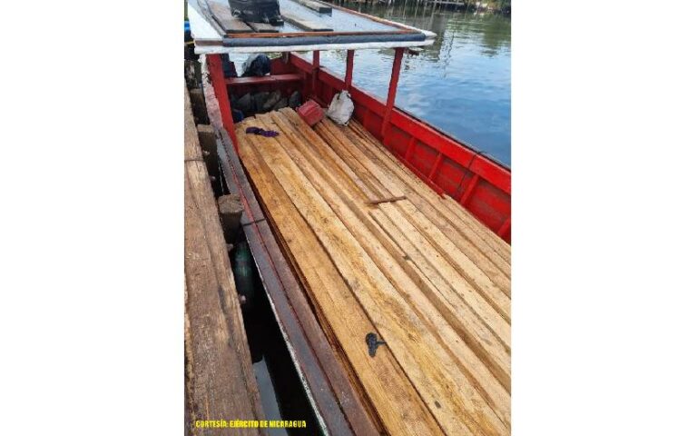 Fuerza Naval informa sobre ocupación de madera trasladada de manera ilegal