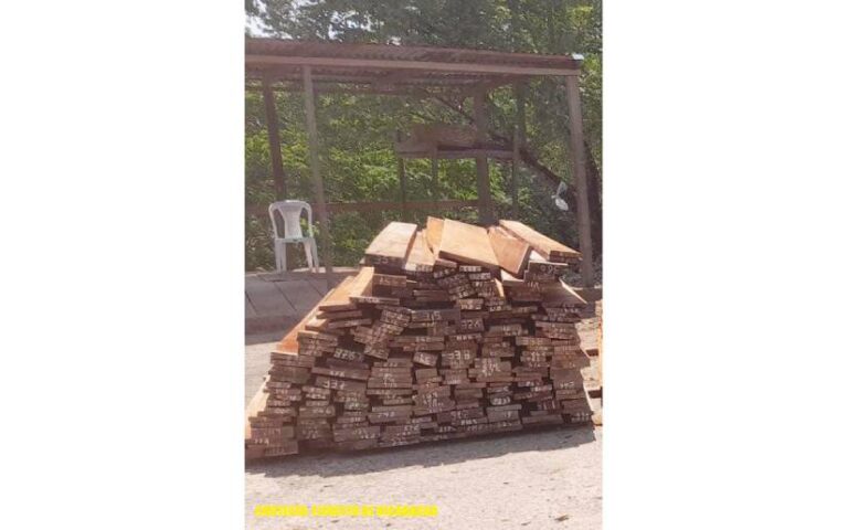 Ejército de Nicaragua reporta ocupación de madera trasladada de manera ilegal