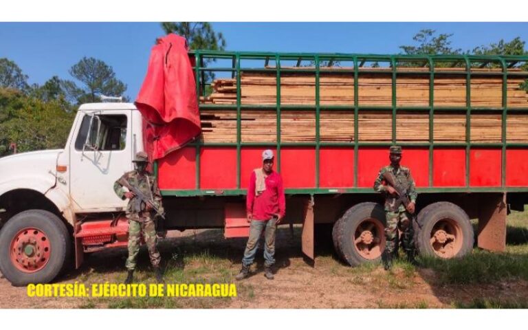 Destacamento Militar Norte realizó ocupación de madera en Sisín, Puerto Cabezas