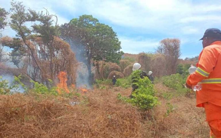 Imágenes de satélite reportan dos incendios en Nicaragua