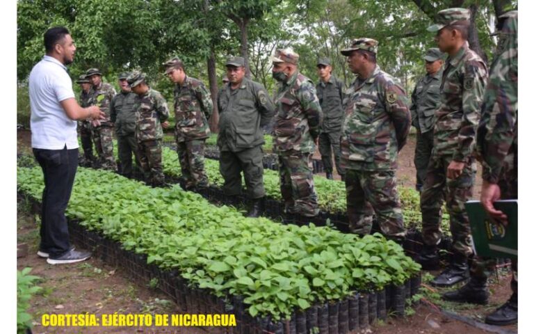 Ejército de Nicaragua participa en capacitación sobre delitos contra el medio ambiente