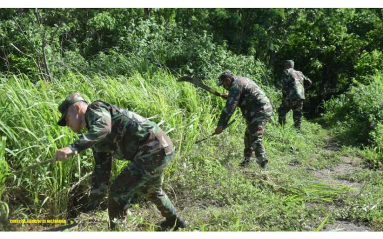 Brigada de Infantería Mecanizada participa en jornada de limpieza y ahoyado para reforestar